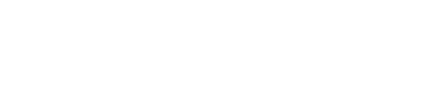 Project Visuals