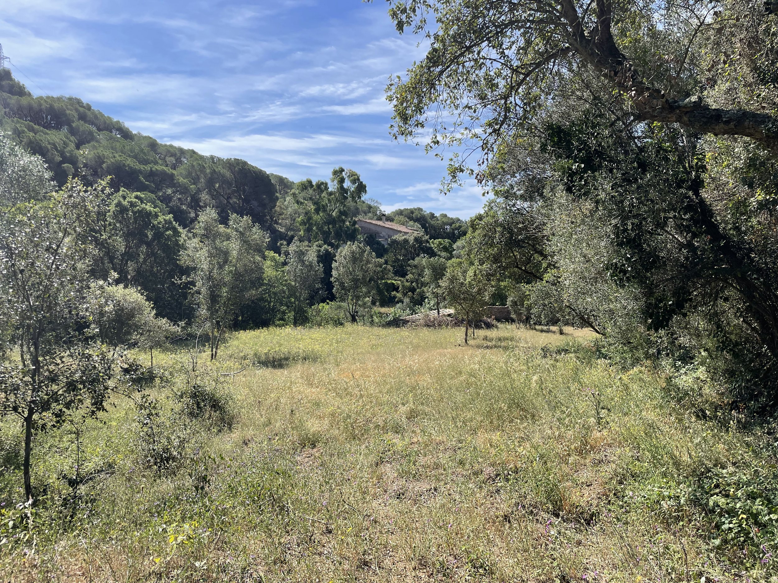 The land — stone terraces